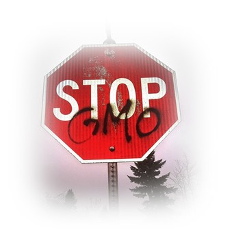 Stop GMO