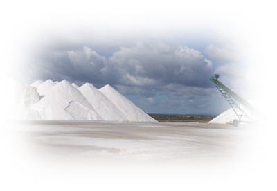 Huge piles of sea salt