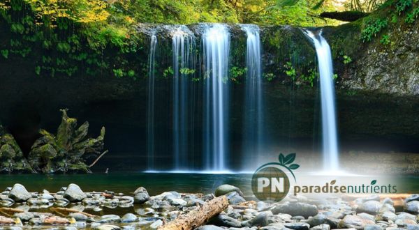 Paradise Nutrients - waterfall