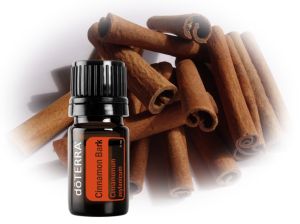 Cinnamon Bark - powerful immune system boosters