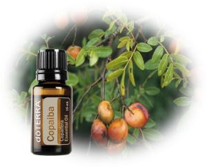 Copaiba - powerful immune system boosters