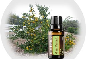 Green Mandarin - powerful immune system boosters