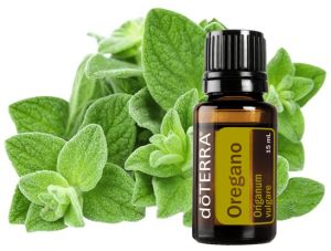 Oregano - powerful immune system boosters