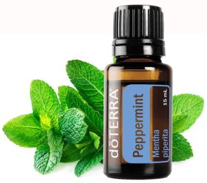 Peppermint - powerful immune system boosters