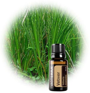 Vetiver 