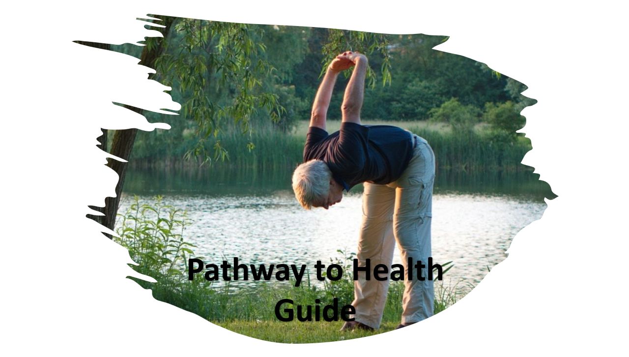 Wellness solutions pathway to health